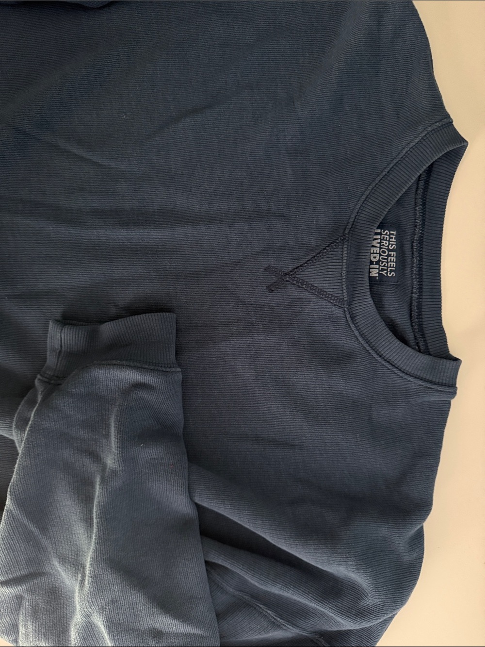 American Eagle Knit Crewneck